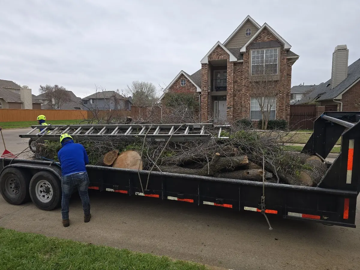 Expert Lot Clearing with proper safety equipment in Mexico